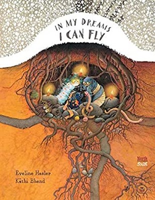 In My Dreams I Can Fly Picture Book Eveline Hasler
