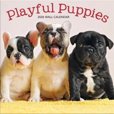 Turner Licensing,  Playful Puppies 2026 Wall Calendar, 12'' X 12'', 12-Month Cal