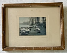 David Davidson Hand Colored Photo "The Lambs May Feast" Sheep Scene Nutting Peer