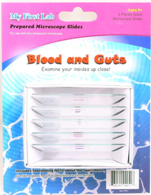 MY First Lab Blood and Guts Microscope slides C&A 000517