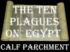 LARGE TORAH BIBLE SCROLL MANUSCRIPT 100 YEARS OLD ISRAEL "The Plagues on Egypt"