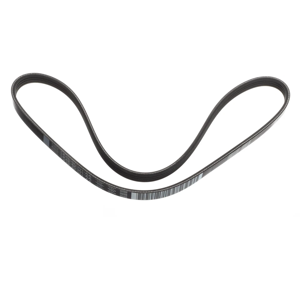 Conjunto de correa serpentina Ford Transit 2020-2025 OEM NUEVO-LK4Z-8620-AA Foto 2 de 4