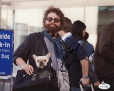 Zach Galifianakis Due Date Autographed Signed 8x10 Photo ACOA 