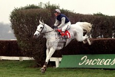 DESERT ORCHID SIMON SHERWOOD 1991 GOLD CUP CHELTENHAM FESTIVAL PHOTO HORSE RACIN