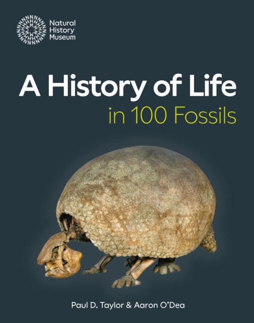 A History Of Life In 100 Fossils Paul D. Taylor - Image 4