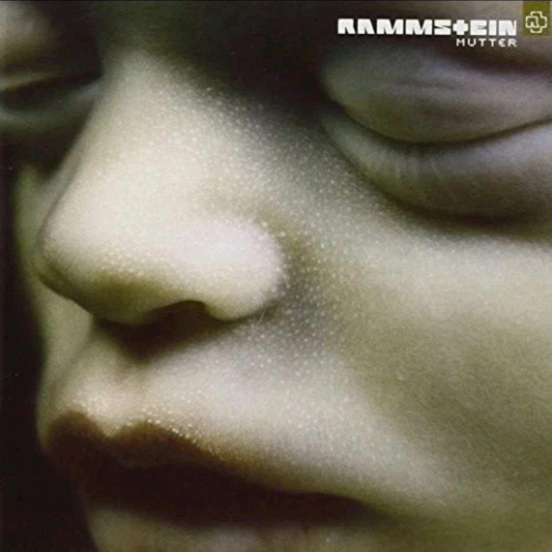 Rammstein レコード3枚セット Rammstein レコード3枚セット Rammstein Box Set | eBay