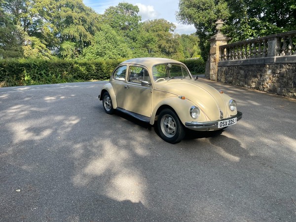 eBay - 1971 vw bettle classic