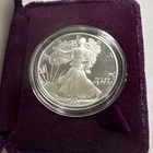 Beautiful US American Silver Eagle 1990 Proof 1 oz .999 fine silver