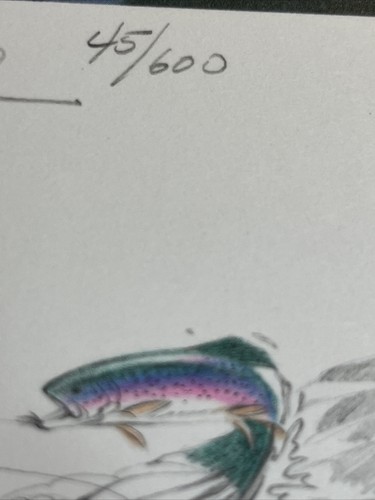 Martin R. Murk,1979, Wisc, Forellenstempeldruck, 45/600, neuwertig, 2 Bemerkungen, neuwertig. - Bild 12 von 12