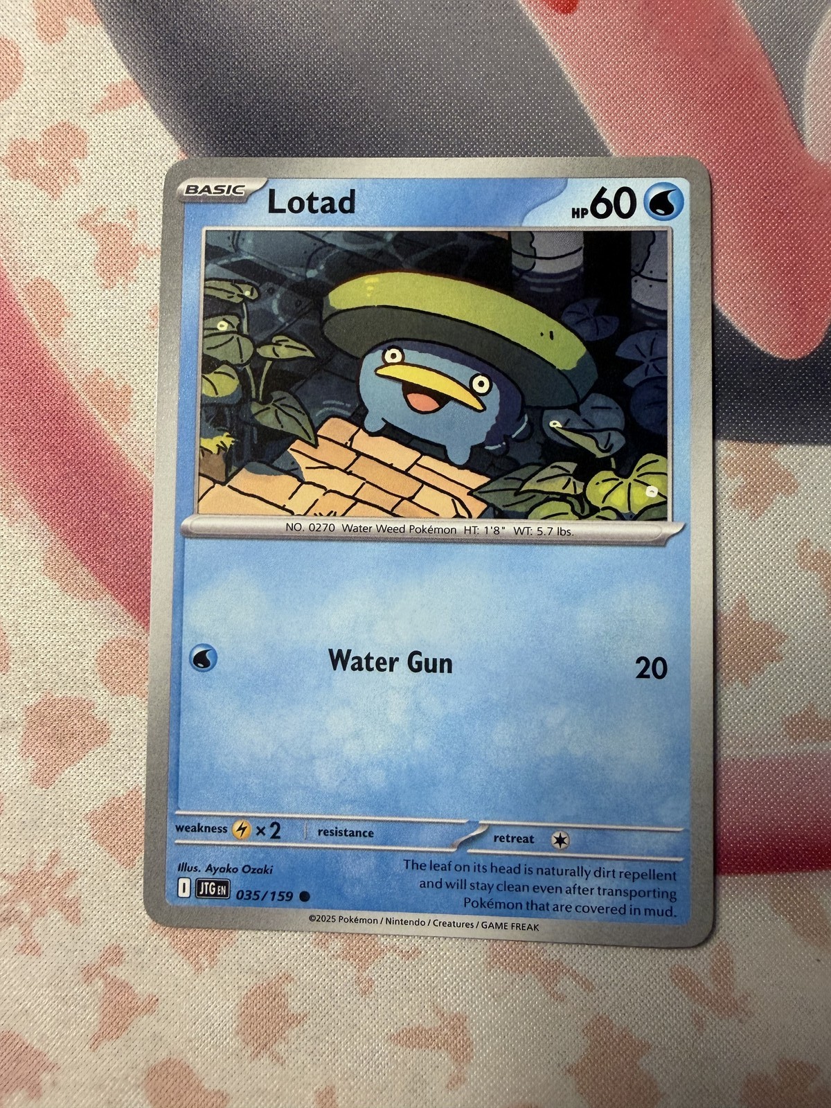Lotad Common SV09: Journey Together 035/159 NM English