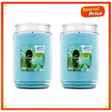 (2 PACK) Mainstays Garden Rain Scented Single-Wick Large Glass Jar Candle, 20oz