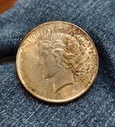 1925 P PEACE SILVER DOLLAR U-Grade 90% Silver
