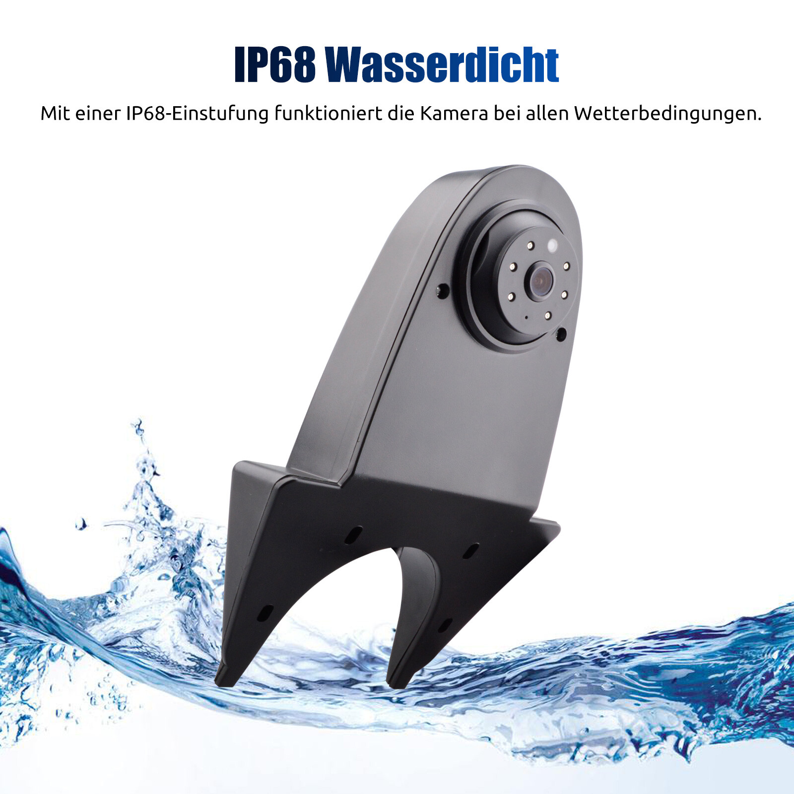 Bild 6 von 12
