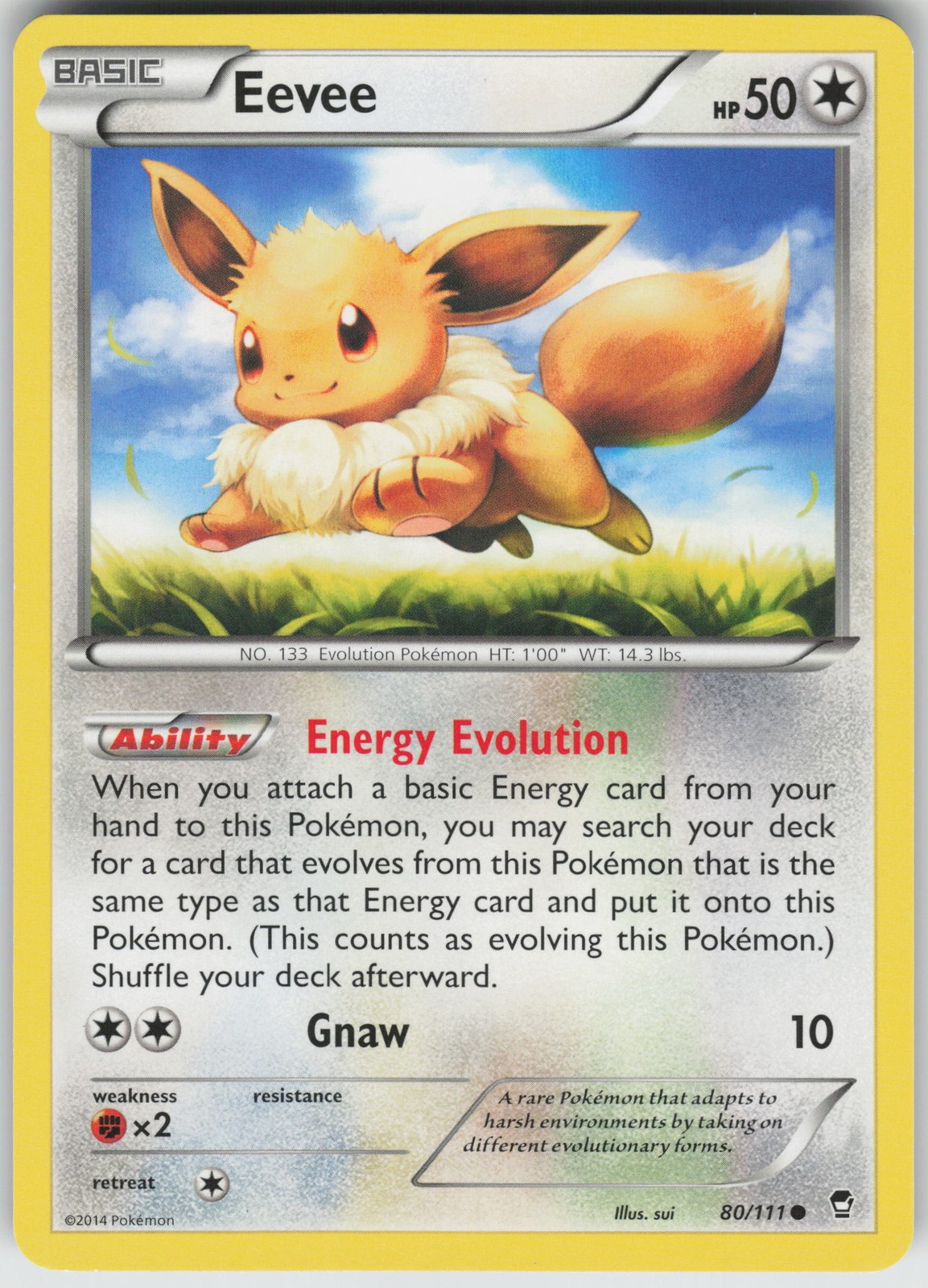Eevee Common XY - Furious Fists 80/111 Pokemon