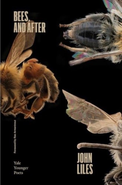 Bees, and After by John Liles (Paperback Book)