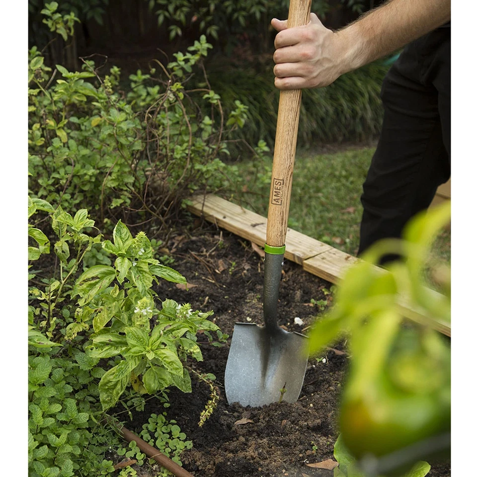 AMES Floral Round Point Shovel (2916100) - Image 4 of 4