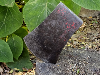 Vintage Paper Label Tasmanian Pattern 4 1/2 lb Axe Head