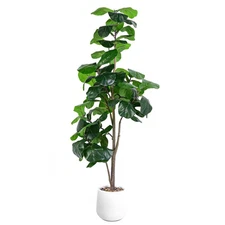 Artificial Fiddle Leaf Tree, 6ft Faux Plant Fake Ficus Lyrata Trees with Whit...