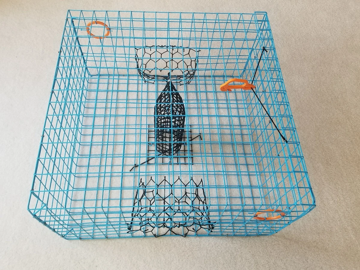 Top 123+ crab rings for sale xkldase.edu.vn