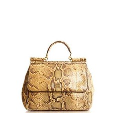 Dolce & Gabbana Sicily - Large