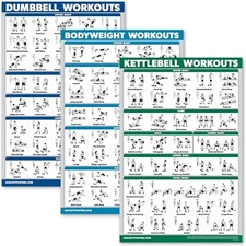 3 x Dumbbell Training Charts + Kettlebell Exercises + Body Weight Routine Poster