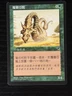 MTG MAGIC Foreign Black Border Chinese Dirtcowl Wurm Near Mint - Free Returns!