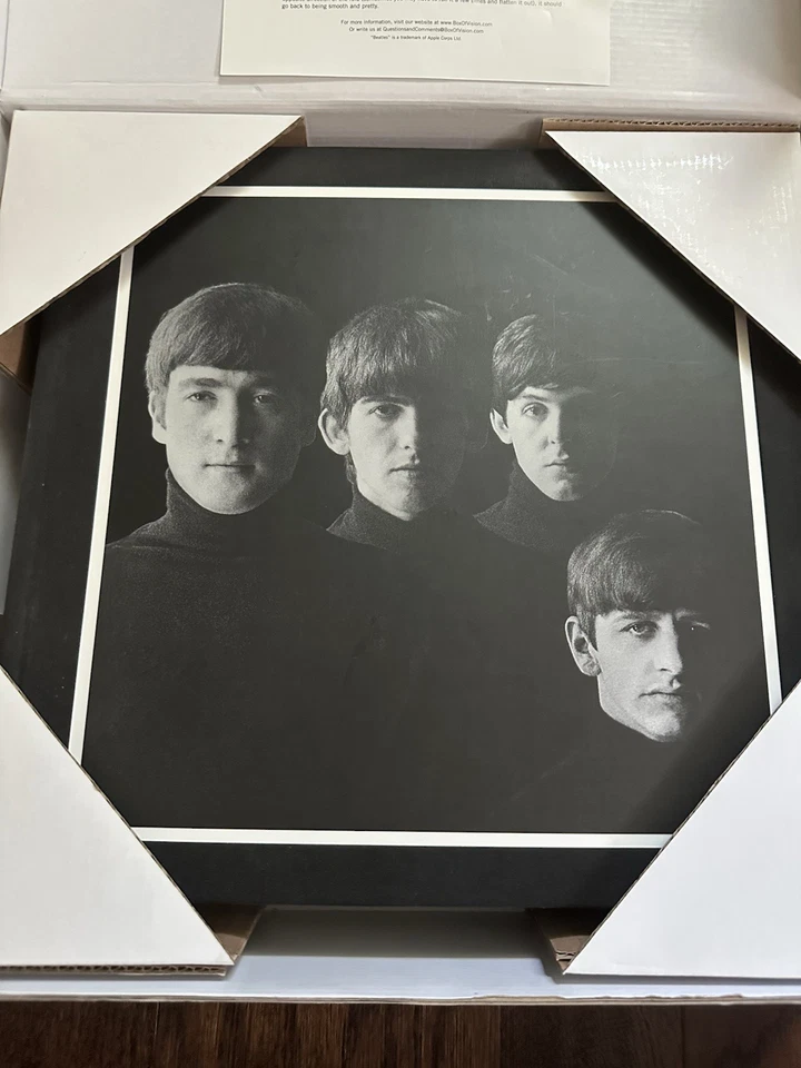 The Beatles - The Beatles Box Of Vision 16 CDS JAPANESE MONO VERY RARE 2009 Foto 3 de 4