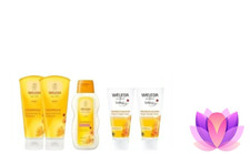 weleda Calendula ShampooShowergel 2x200ml 2x Baby Cream 2x75ml Body Milk 200ml