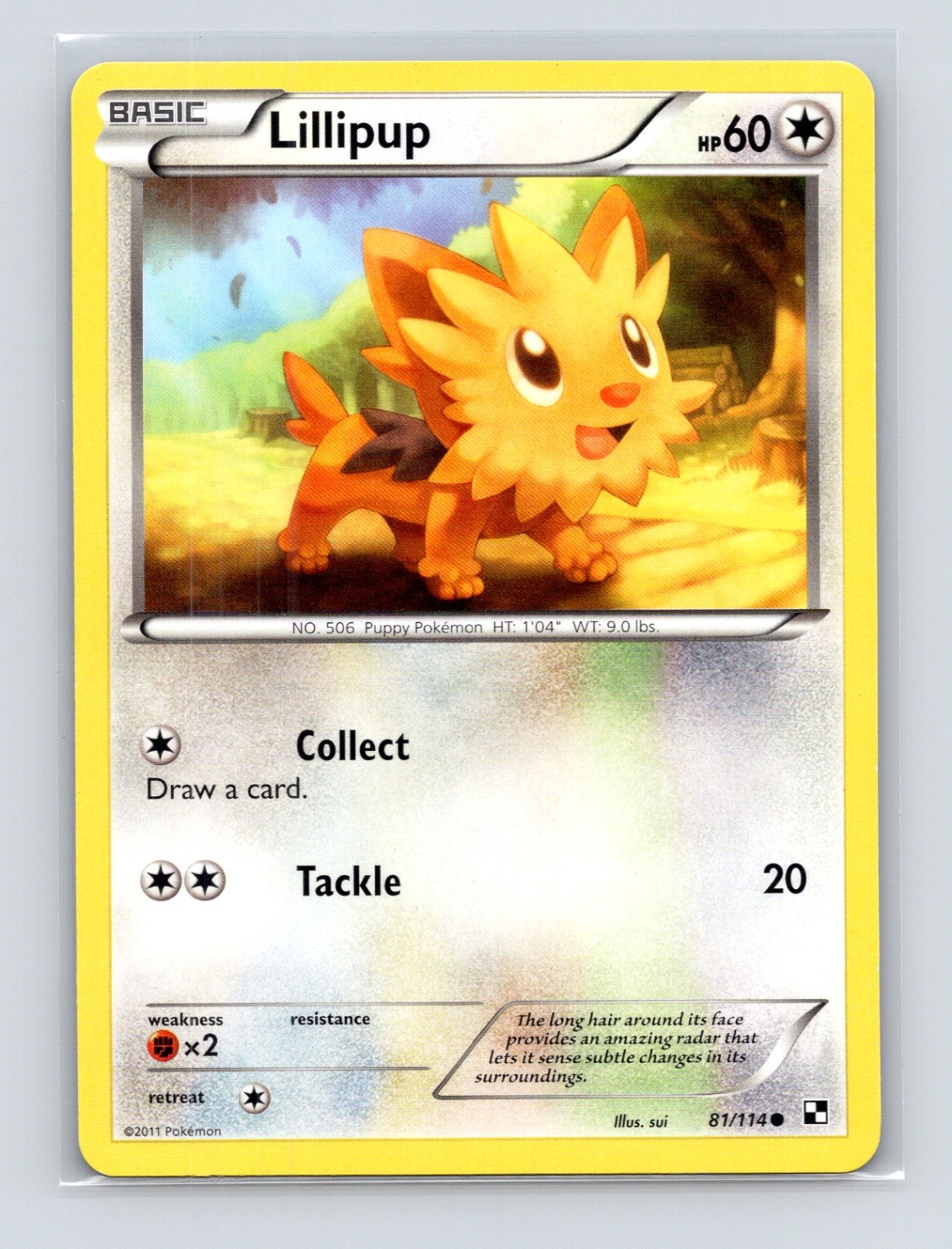 Pokémon TCG Lillipup (81) 81/114 Black and White Normal LP