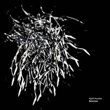 KJETIL HUSEBO Sources Music CDs New