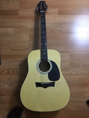 #ad Peavey Acoustic Guitar $75.00