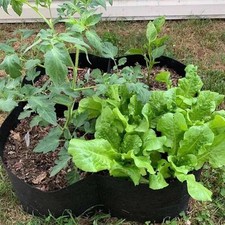 Sacs de culture de plantes légers non tissés parfaits pour une utilisation int