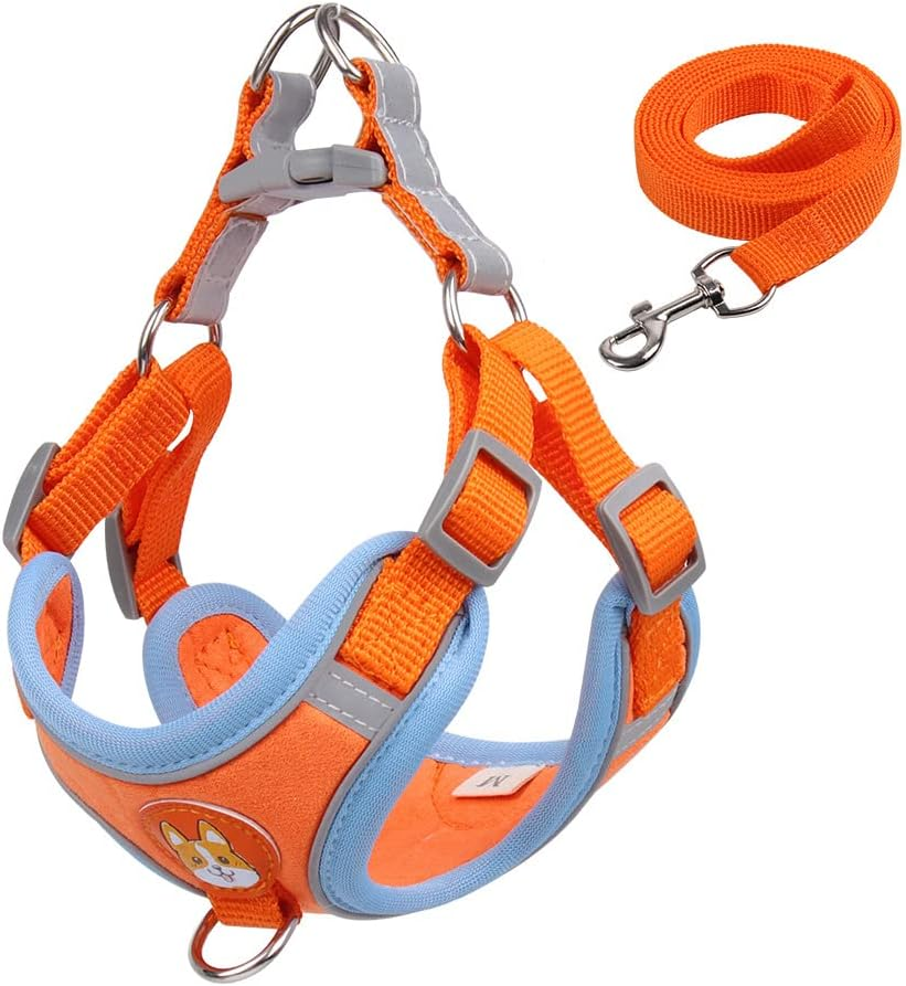 Dog Harness Leash Set for Small Dogs Adjustable Puppy Cat Harness Vest French Bu