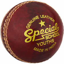 Cricket Ball Special School - Juniors FREE P&P