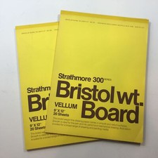 Strathmore 300 Series Bristol Wt. Board Vellum 9"x12" 20 Sheets Drawing Art Pain