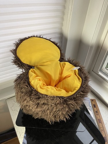 shih tzu bichon frise