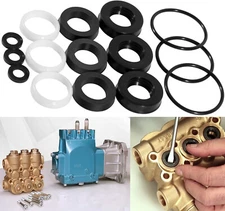 34262 Seals Rebuild Kit Fits Cat Pump 66DX 6DX Pressure Washer Pump 6DX35G1I