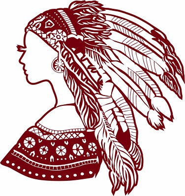 Native Americian Indian Girl Woman Car Truck Window Vinyl  Decal Sticker