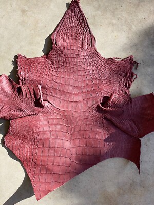 American Alligator Hide Bordeaux Matte Body Head Genuine Gator  111H-I2