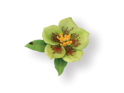 Sizzix Thinlits Stanzer Set 9tlg - Flower, Helleborus by Susan Tierney-Cockburn