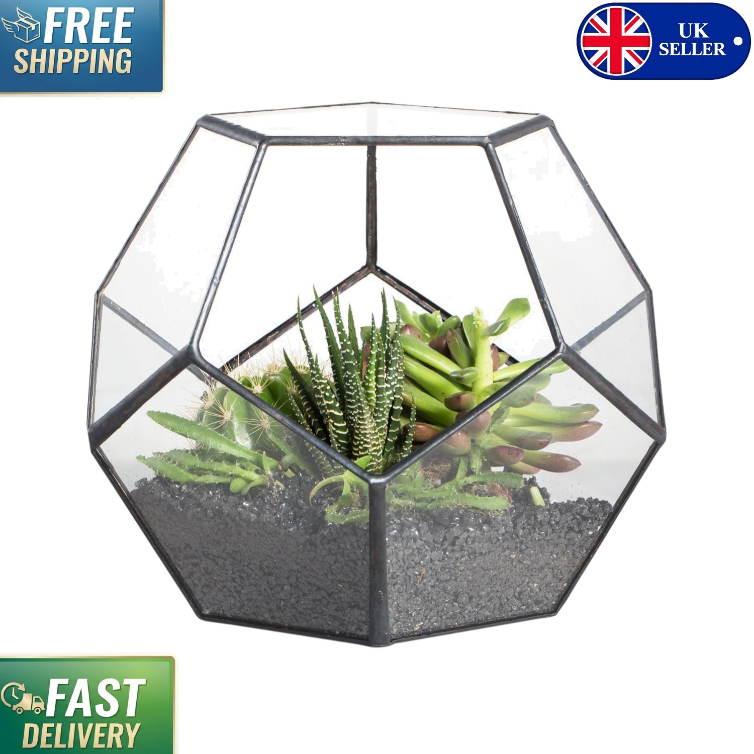 Compact No-Door Open Glass Terrarium for Indoor Cacti and Succulents - 17.5 cm