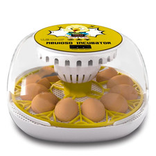 Egg Incubator for Hatching Chicks, 12-24 Egg Incubators with Auto Turning, Autom