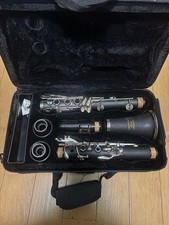 Clarinet body, plastic 17 keys, case and stand included