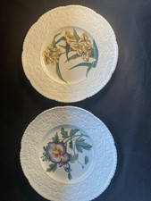 Royal Cauldon Maywood Dinner Plates Hibiscus Tiger Iris Bristol Ironstone 11”