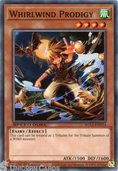 SGX2-END14 Whirlwind Prodigy :: Common 1st Edition Mint YuGiOh Card
