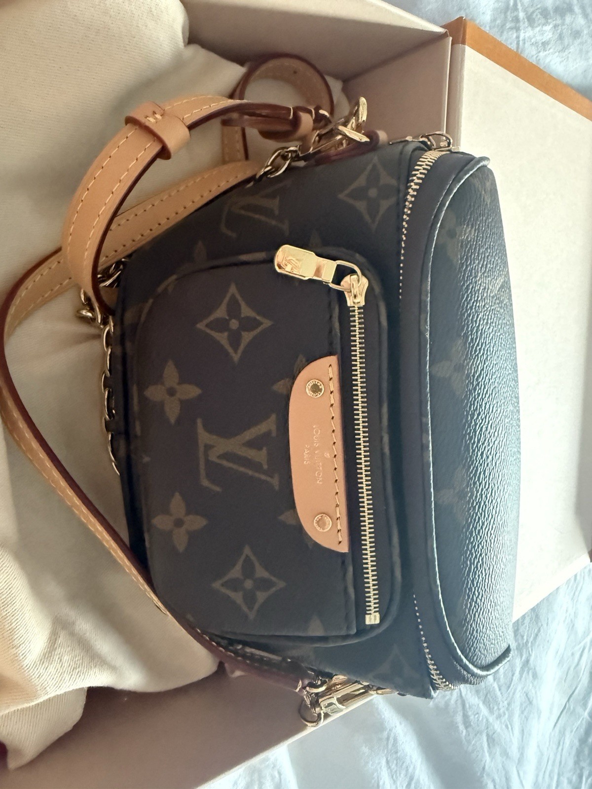 Louis Vuitton Monogram Mini Bum Bag
