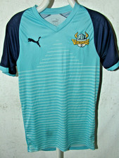 Original 2020 Yorkshire Vikings Puma Cricket Shirt S 40inch Chest