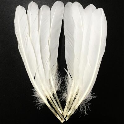 50PCS White Long Feathers 8''-10''21-25cm Bulk Feather for CraftsBig Size Bilat...