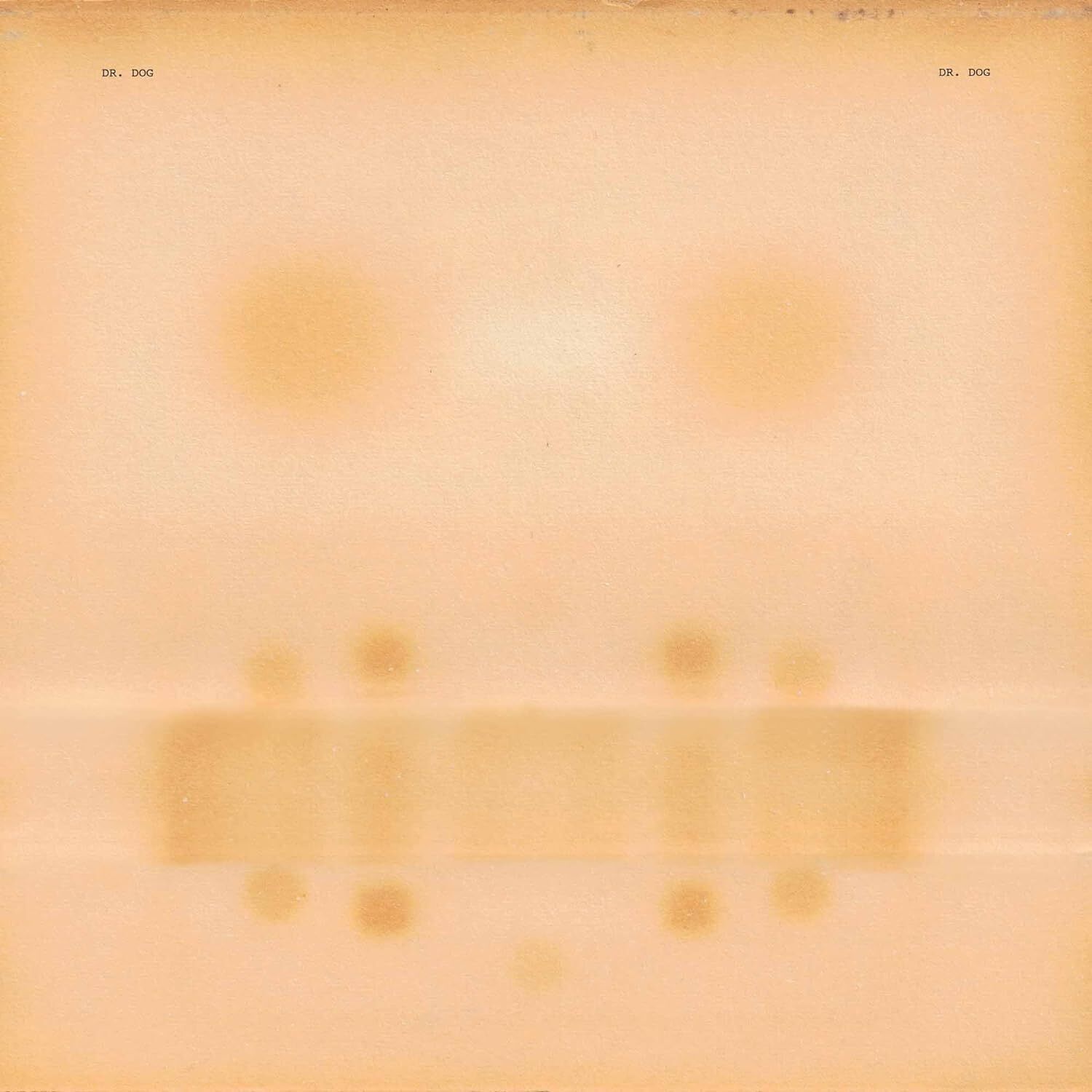 Dr. Dog Dr. Dog (Vinyl LP) 12" Album