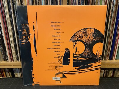 Indie Cindy - Pixies 2LP PIXIES Music 180g .com Limited Edition